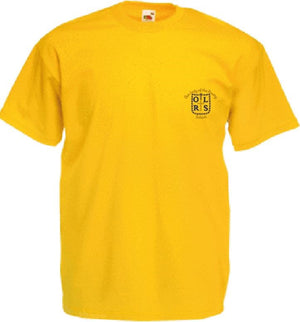 T-Shirt Our Lady of the Rosary P.E. (Reception - Year 6 House Colours)