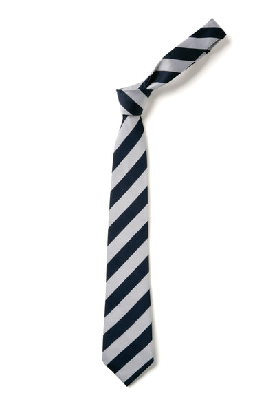 Broad Stripe Tie - Navy & White